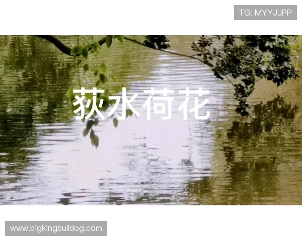 鏇艰仈 9 鍙蜂綅浜夊ず鎴樼櫧鐑寲锛佸焹鍩鸿拏鍏嬫垚绾㈤瓟鍒╃墿娴﹀垏灏旇タ涓夊己鐚庣墿 鏇艰仈 9 鍙蜂綅浜夊ず鎴樼櫧鐑寲锛佸焹鍩鸿拏鍏嬫垚绾㈤瓟鍒╃墿娴﹀垏灏旇タ涓夊己鐚庣墿